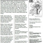 Norway Maple Invasive Plant Information Sheet Acer platanoides Maple Family (Aceraceae)