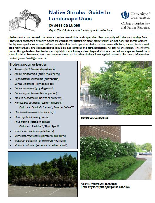 Native Land Use Guide By: Jessica Lubell Dept. of Plant Science and Landscape Architecture, UConn