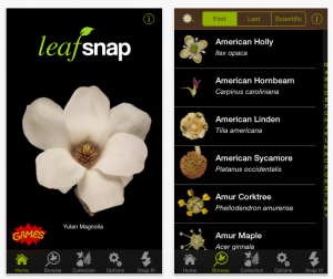 app-leafsnap