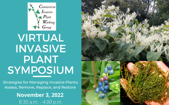 CIPWG Invasive Plant Symposium flyer-graphic
