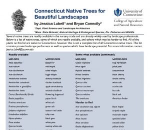 Connecticut Native Tree List (July 2013) By: Jessica Lubell Dept. of Plant Science and Landscape Architecture, UConn