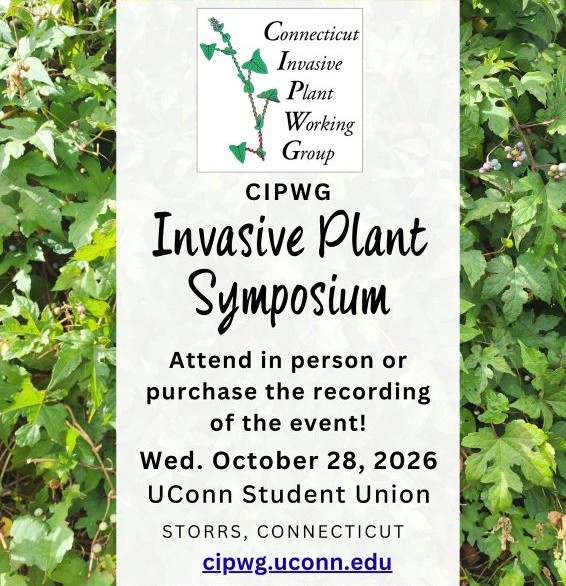 2026 CIPWG Invasive Plant Symposium: From Awareness to Action - Strengthening Our Response to Invasive Plants! Wed. Oct. 28, 9:00 am to 5:00 pm At the UConn Student Union in Storrs