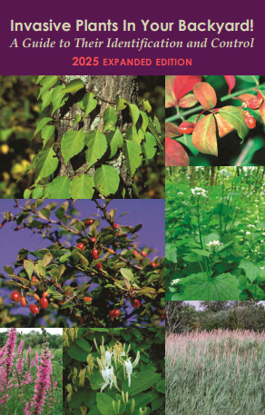 Invasive Plants in Your Backyard cover