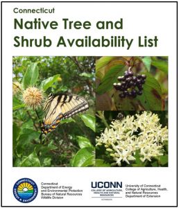 CT Native Plant Availability List from UConn and CT DEEP - released in May 2023