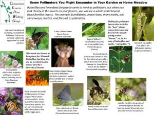 CIPWG Pollinators in Gardens & Meadows document