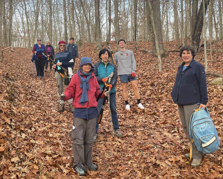 December 2:  at The Preserve, Old Saybrook.  Kathy Connelly, far right, led a group of eight to cut Japanese barberry.  We learned to identify burning bush, Japanese knotweed, wineberry and privet without foliage present.