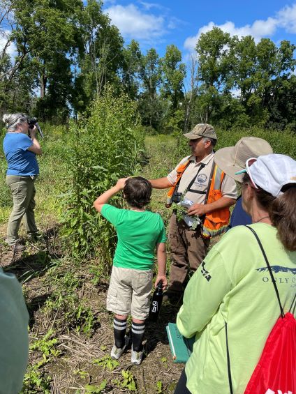 Peter Picone describes efforts to control invasives in Robbins Swamp.