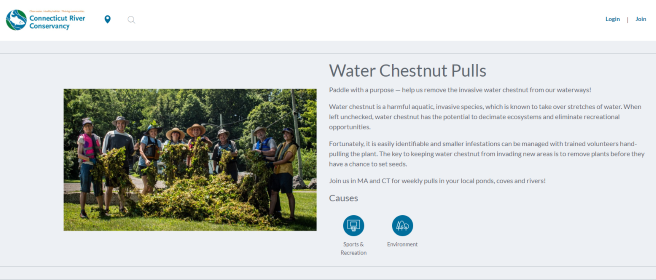Image from CT River Conservancy website. It reads "Water Chestnut Pulls Paddle with a purpose — help us remove the invasive water chestnut from our waterways! Water chestnut is a harmful aquatic, invasive species, which is known to take over stretches of water. When left unchecked, water chestnut has the potential to decimate ecosystems and eliminate recreational opportunities."