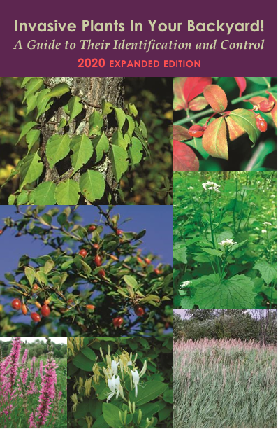 Invasive Plants in Your Backyard cover