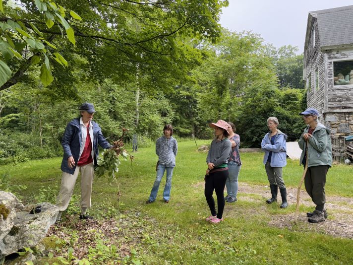 Rose teaches about oriental bittersweet at the Hayes Sculpture Garden in Coventry, CT.