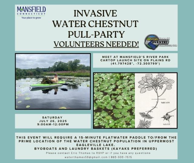 water chestnut pull party flyer July 26 2025
