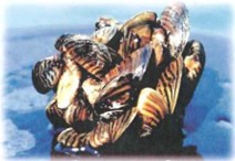 Changes to fish habitat Invasive plants such as water chestnut, Eurasian 