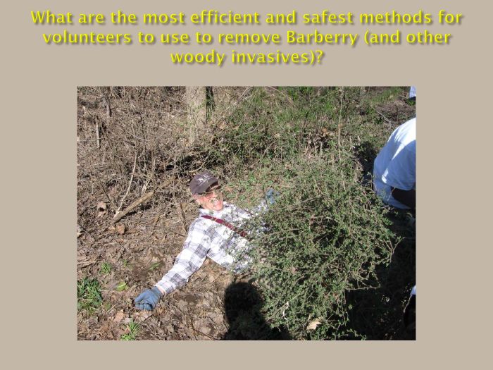 2016 PPT-PDF-Bill-Moorhead