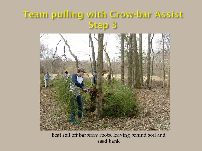 Crowbar assist 3