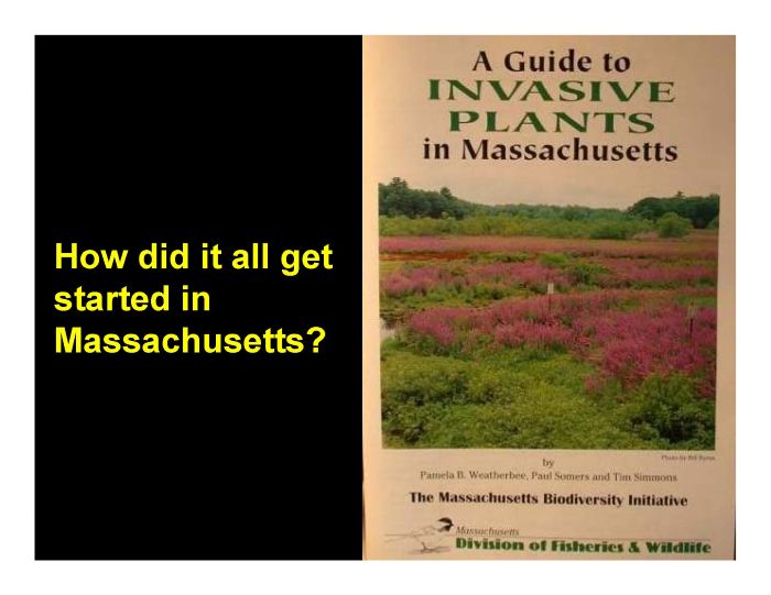 A guide to invasive plants