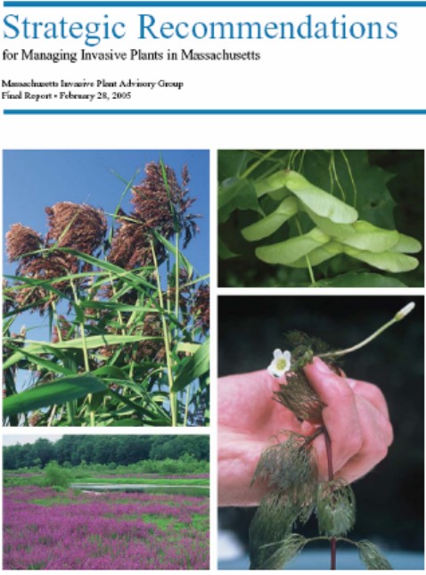 Strategic recommendations publication