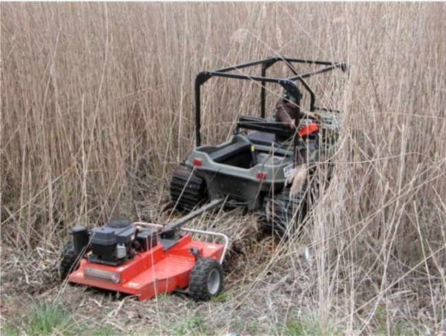 Phragmites mowing using ARGO