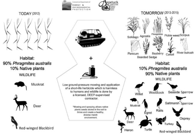 Saugatuck River Watershed