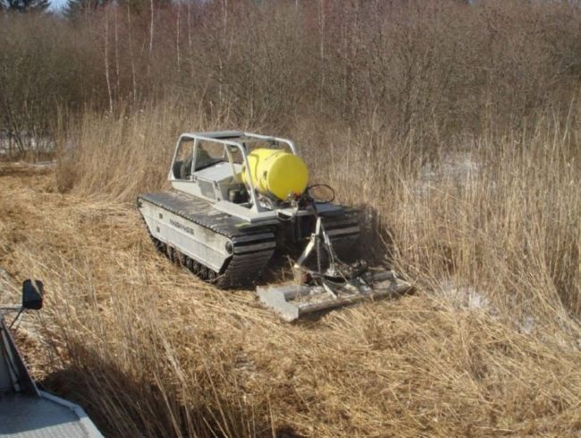 Mowing Phragmites with the WHAMM Program Marsh Master II (low ground pressure >1.25 psi amphibious machine).