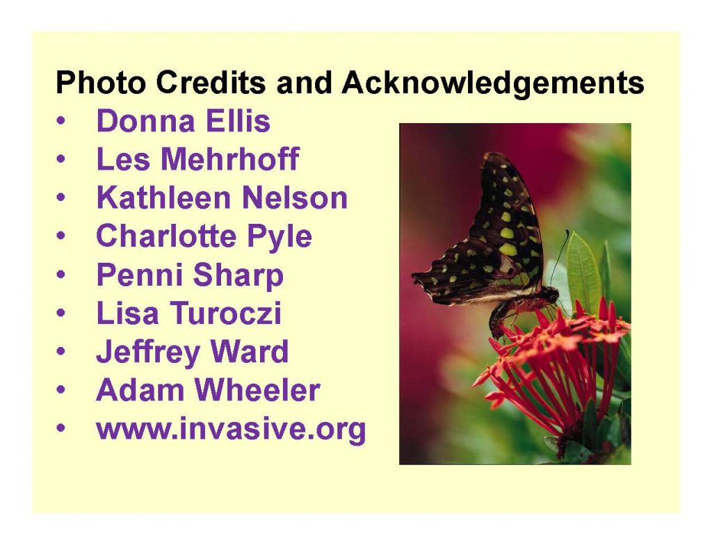 Photo Credits and Acknowledgements