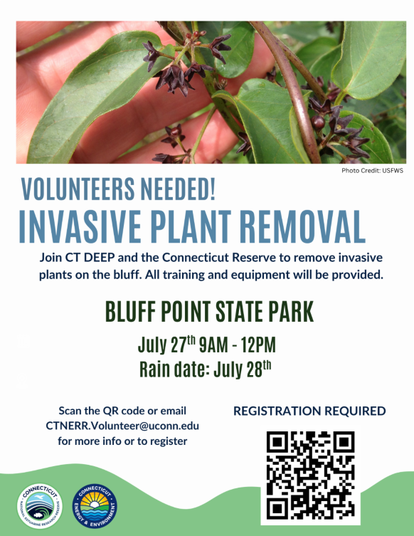 Black Swallowwort Removal Flyer