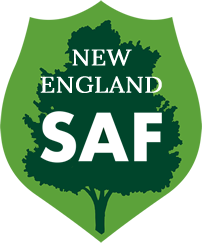 new england_CT-NESAF logo